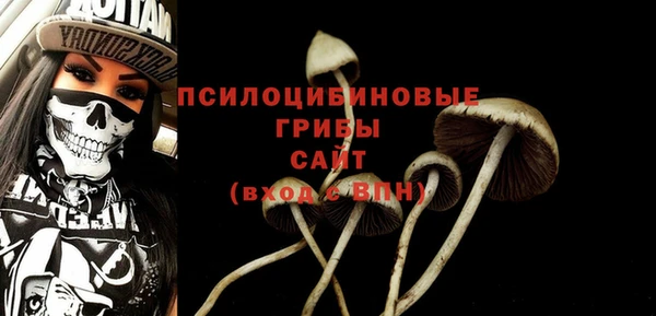трава Алзамай